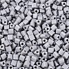 FGB Baking Paint Glass Seed Beads SEED-Q040-09A-17-3