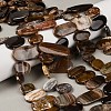 Natural Petrified Wood Beads Strands G-C253-07-1