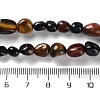 Natural Tiger Eye Beads Strands G-P497-01C-24-5