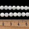 Natural Sea Shell Beads Strands SSHEL-K013-5.5mm-A-2
