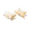 Natural White Shell Beads BSHE-Z008-02-3