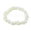 Natural Trochus Shell Chip Beaded Stretch Bracelets for Women Men BJEW-JB10549-1