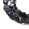 Natural Iolite Beads Strands G-P497-01E-01-4