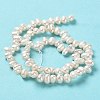 Natural Cultured Freshwater Pearl Beads Strands PEAR-J007-67-3