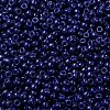 MIYUKI Round Rocailles Beads SEED-JP0009-RR4493-3