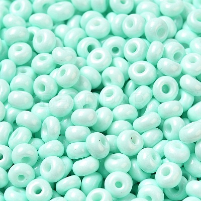 Baking Paint Glass Seed Beads SEED-B001-02A-14-1