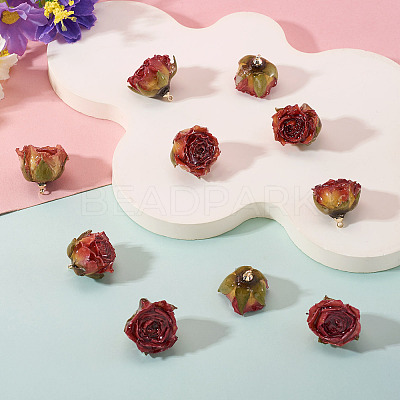 10Pcs Preserved Rose Pendants KY-TA0001-59C-1
