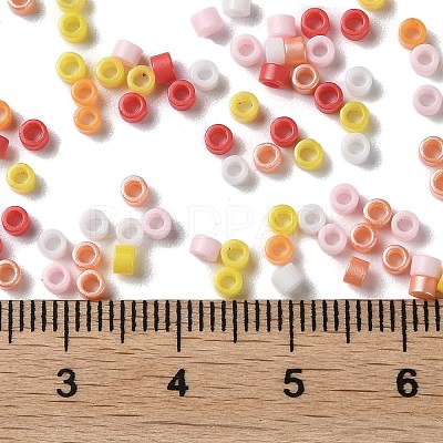 Baking Paint Glass Seed Beads X-SEED-S042-05A-07-1