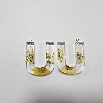 Transparent Epoxy Resin Pendants CRES-YW0002-12U-1