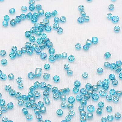 8/0 Round Glass Seed Beads X-SEED-J011-F8-179-1