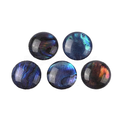 Natural Abalone Shell/Paua Shell Resin Cabochons X-SSHEL-K003-10MM-03-1