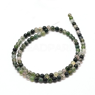 Natural Moss Agate Round Bead Strands G-P072-01-6mm-1