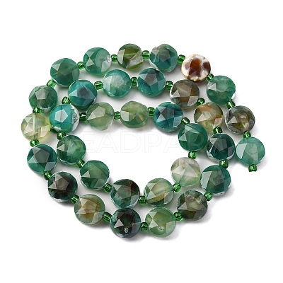 Dyed & Heated Natural Fire Crackle Agate Beads Strands G-C116-A177-01-1