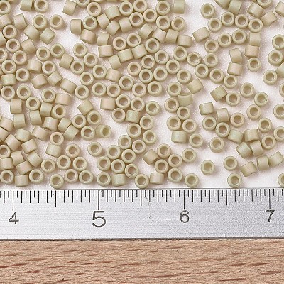 MIYUKI Delica Beads X-SEED-J020-DB2301-1