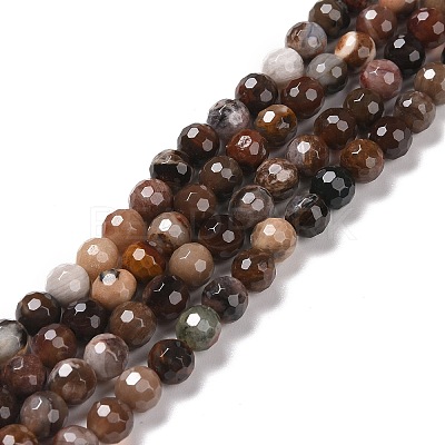 Natural Petrified Wood Beads Strands G-E571-27A-1