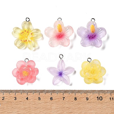 Transparent Resin Pendants RE-A001-01-1