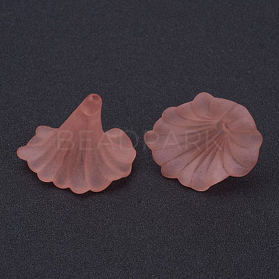 Transparent Acrylic Beads X-BSF796-C11-1