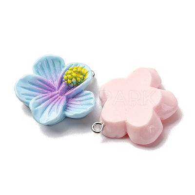 Opaque Resin Pendants RESI-A046-05G-1