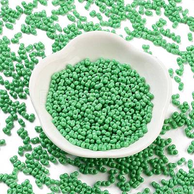 Baking Paint Glass Seed Beads SEED-A033-05Q-1