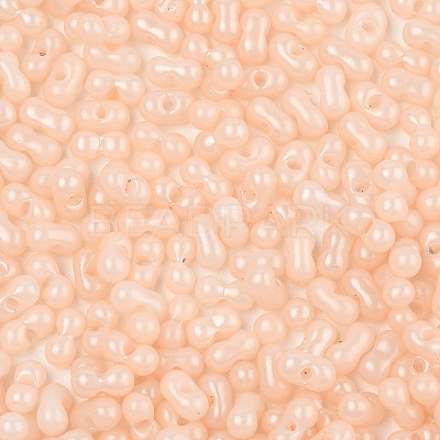 Baking Paint Glass Seed Beads SEED-L011-09A-11-1