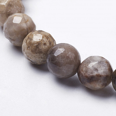 Natural Silver Leaf Jasper Beads Strands G-K181-6mm-O01-1