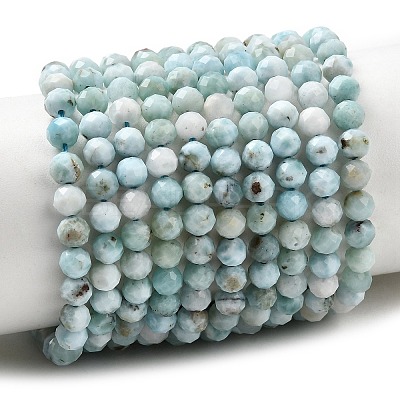 Natural Larimar Beads Strands G-F785-B01-02-1