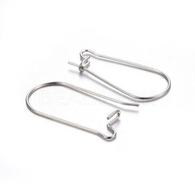 Tarnish Resistant 304 Stainless Steel Hoop Earring Findings STAS-P223-01P-03-1