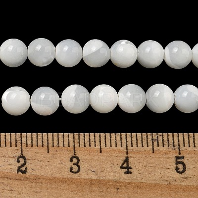 Natural Sea Shell Beads Strands SSHEL-K013-5.5mm-A-1