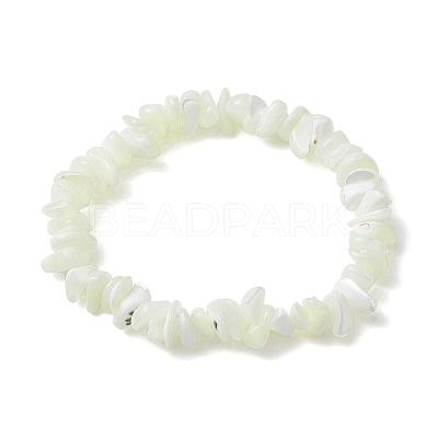 Natural Trochus Shell Chip Beaded Stretch Bracelets for Women Men BJEW-JB10549-1