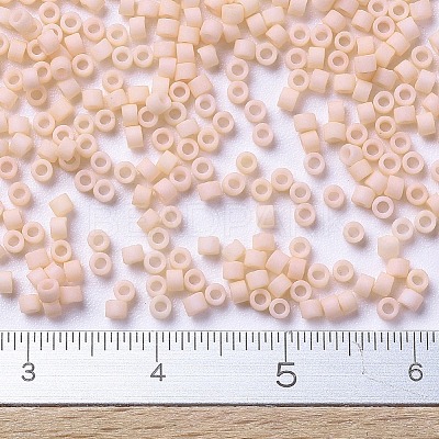 MIYUKI Delica Beads X-SEED-J020-DB0354-1