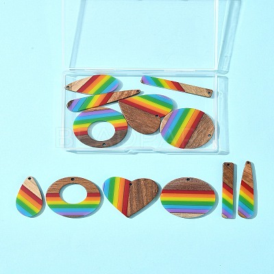 12Pcs 6 Styles Pride Rainbow Theme Resin & Walnut Wood Pendants WOOD-FS0001-32-1