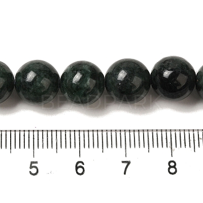 Natural Black Jade Beads Strands G-H067-A03-10MM-1