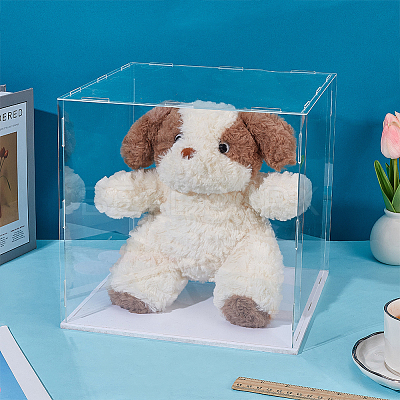 Acrylic Display Boxes CON-WH0123-27B-1