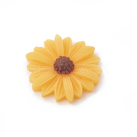 Resin Cabochons X-CRES-N007-10F-1