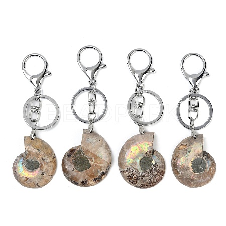 Alloy Natural Snail Fossil Keychains KEYC-Q001-01A-1