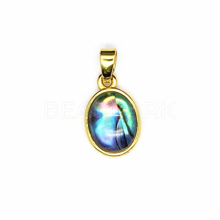 Natural Abalone Shell Charms PW-WG4179D-01-1