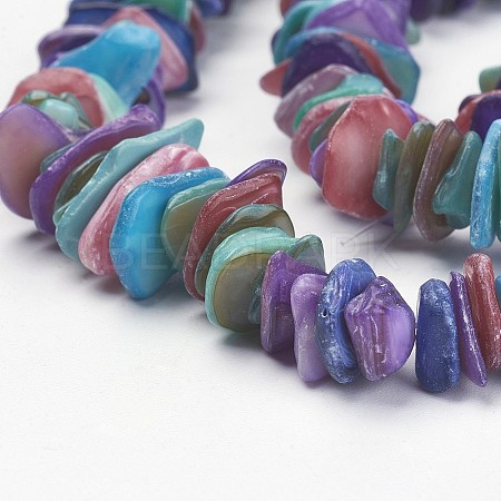 Natural Shell Beads Strands X-PBB226Y-4-1