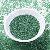 MIYUKI Delica Beads X-SEED-J020-DB1889-2