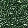 TOHO 11/0 Round Beads X-SEED-TR11-1006-2