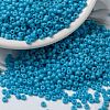 MIYUKI Round Rocailles Beads X-SEED-G008-RR0413-1
