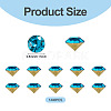 1 Bag Pointed Back Glass Rhinestone Cabochons RGLA-TADJ0001-01A-04-3
