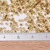 MIYUKI Delica Beads SEED-X0054-DB2525-4