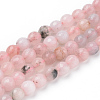 Natural Cherry Blossom Jasper Beads Strands X-G-Q462-120-10mm-1