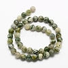 Natural Tree Agate Beads Strands G-K194-10mm-02-3