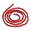 Transparent Glass Beads Strands GLAA-H021-04-24-4