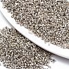 FGB 11/0 Grade A Glass Seed Beads SEED-S030-1206-1
