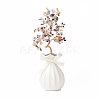 Natural Gemstone Chips with Brass Wrapped Wire Money Tree on Ceramic Vase Display Decorations DJEW-B007-01D-1