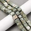 Natural Variscite Beads Strands G-B155-C05-8x8mm-1