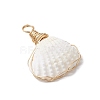 Copper Wire Wrapped Natural Shell Pendants PALLOY-JF03494-4