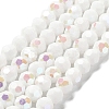 Opaque Glass Beads Strands EGLA-A035-P10mm-L01-1